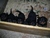 Offspring B